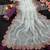 Sky Blue Color Embroidery lace border Tissue Net Saree