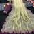 Yellow Color Embroidery lace border Tissue Net Saree
