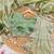 Mint green soft burberry silk blend saree with real mirror hand work & cutwork border