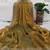 Olive gold fendy chiffon saree with artisan hand work & swarovski blouse