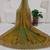 Olive gold fendy chiffon saree with artisan hand work & swarovski blouse