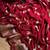 Red pure viscose jacquard blooming saree with weaving zari blouse