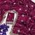 Plum Color Embroidery And Sequence Work Beautiful Border Work Silk Blend Saree