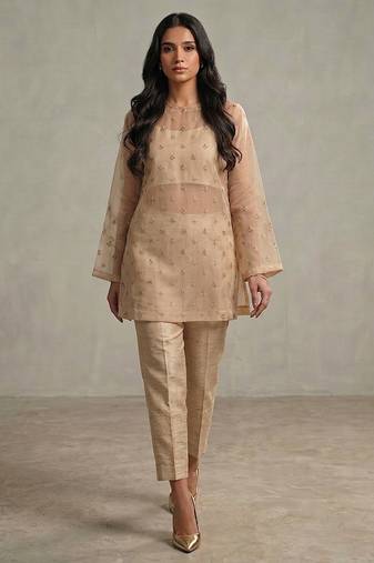 Nude beige embroidered organza co ord set