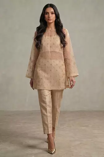Nude beige embroidered organza co ord set