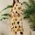 Women Printed Regular Pure Cotton Kurta with Trousers