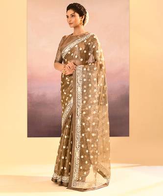 Metallic brown embroidered tissue saree set 2