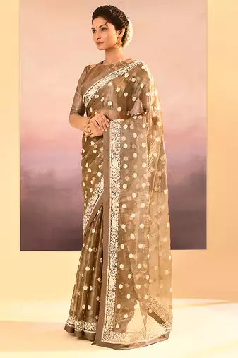 Metallic brown embroidered tissue saree set