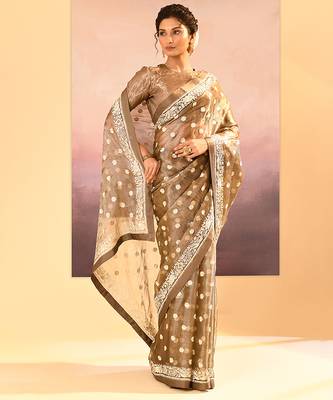 Metallic brown embroidered tissue saree set 3