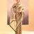 Metallic brown embroidered tissue saree set