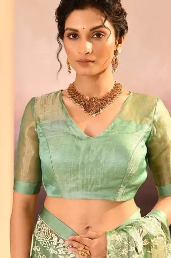 Pista green embroidered tissue saree set