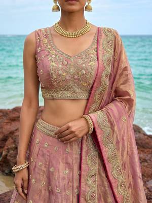 Women's Rose Gold Tissue Moti with Embroidered Lehenga Choli with Dupatta 2