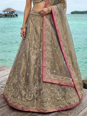 Women's Shade of Teal Tissue Moti with Embroidered Lehenga Choli with Dupatta 4