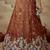 Women's Rust Tissue Moti with Embroidered Lehenga Choli with Dupatta