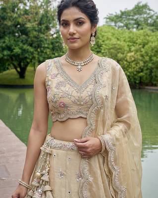 Women's Beige Tissue Mirror sequince Embroidered Lehenga Choli with Dupatta 2