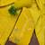 yellow embroidered georgette viscose unstitched dress material 