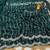 Dark Green Color Original beeds work Space Silk Blend Saree