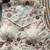 White khadi cotton blend embroidered designer blouse