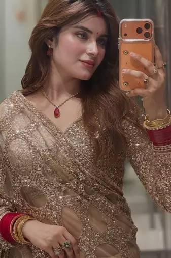 Champagne gold butterfly net heavy sequins embroidered saree with embroidered blouse