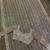 Taupe grey heavy butterfly net saree with 5mm sequins & multi thread embroidery work unstitched blouse