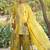 Yellow embroidered silk blend sharara set