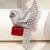 Rhodium plated ruby red stone bird motif brooch