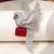 Rhodium plated ruby red stone bird motif brooch