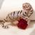 Gold plated red stone crouching tiger brooch