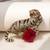 Gold plated red stone crouching tiger brooch