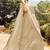 Women's Beige Silk Heavy Embroidered Designer Wedding Festive Lehenga Choli Set