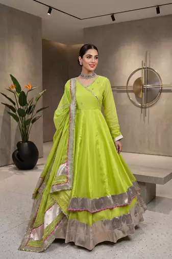 Fancy parrot green tabby organza silk hand work anarkali suit