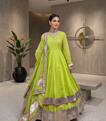 Fancy parrot green tabby organza silk hand work anarkali suit