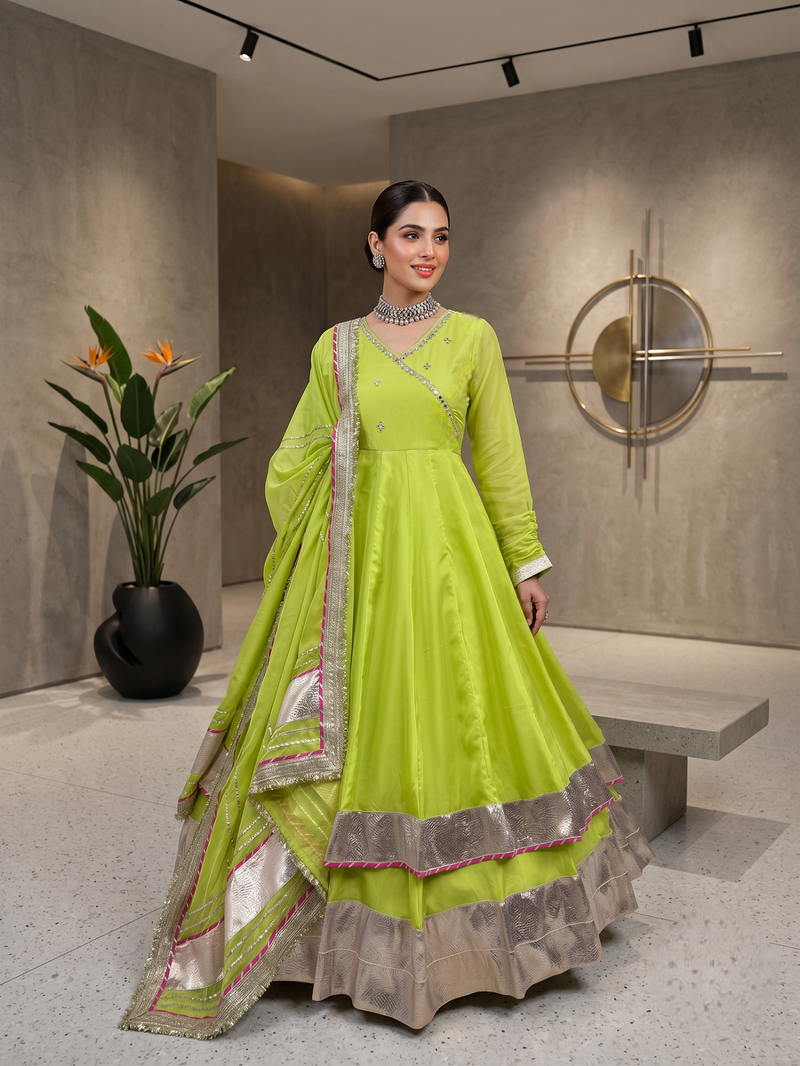 Fancy parrot green tabby organza silk hand work anarkali suit