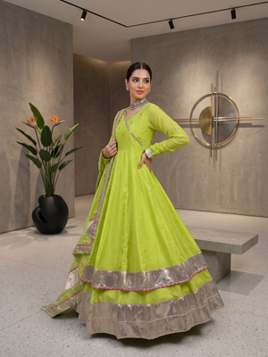 Fancy parrot green tabby organza silk hand work anarkali suit 2