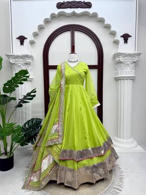 Fancy parrot green tabby organza silk hand work anarkali suit 4