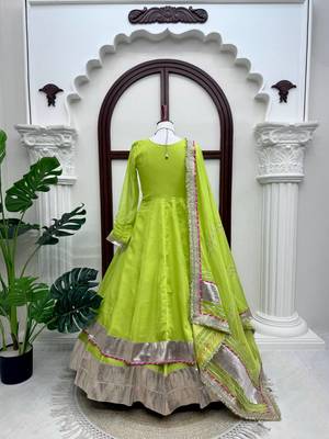 Fancy parrot green tabby organza silk hand work anarkali suit 5