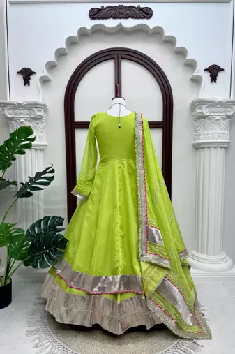 Fancy parrot green tabby organza silk hand work anarkali suit