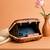 Printed box clutch bag for women with detachable strap
