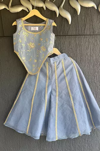Powder blue printed organza co ord set