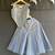 Powder blue printed organza co ord set
