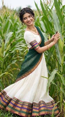 Festive Off-White Cotton Lehenga Choli Set with Dark Green Zari Border Dupatta 1