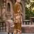 Women's mustard floral printed co-ord set