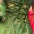  emerald elegance salwar suit