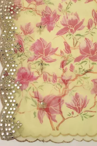 Digital print orgenza sequnce work dupatta for women and girls to wear on gown chaniya choli kurti etc