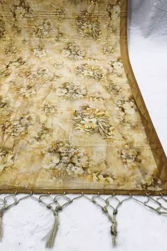 Traditional ethnic motif print  assm silk dupatta