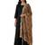 Negative printed brown satin shiney orgenza silk fabric sequnce dupatta