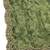 Negative printed green satin shiney orgenza silk fabric sequnce dupatta