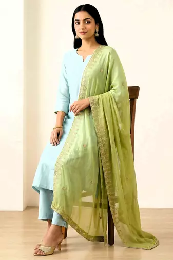 Parrot green solid colour orgenza silk fabric thred embrodery dupatta