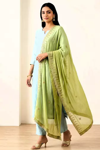 Parrot green solid colour orgenza silk fabric thred embrodery dupatta