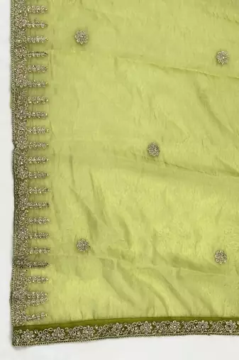 Parrot green solid colour orgenza silk fabric thred embrodery dupatta